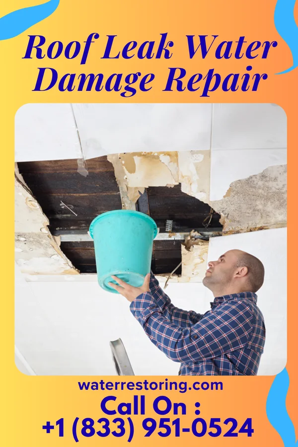 Roof Leak Water Damage Repair in Burdett, KS